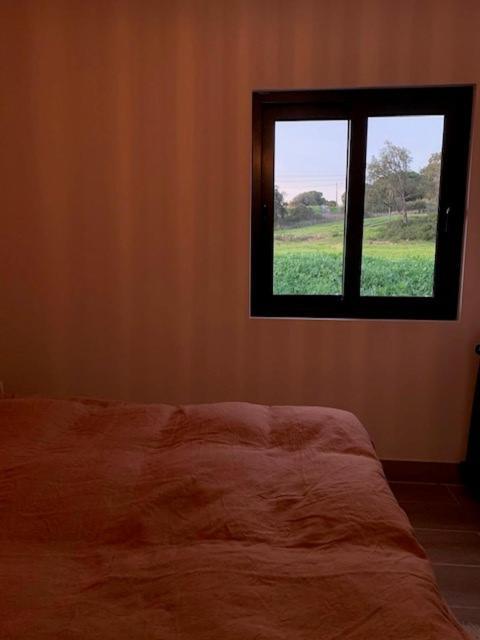 Casa Luz Villa Guia  Dış mekan fotoğraf